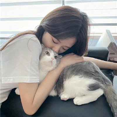 肥佬教授